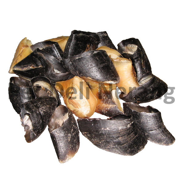 Cows Hoof 2pk