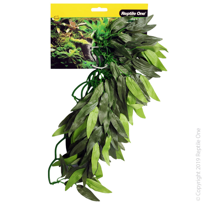 Reptile One Plant Tradescantia Cascading 40cm Green