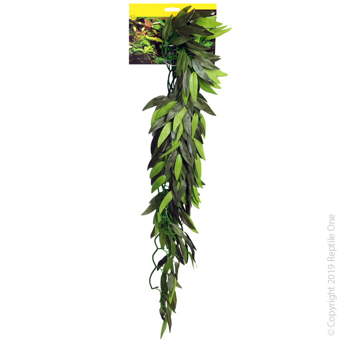 Reptile One Plant Cascading Tradescantia 72cm Green