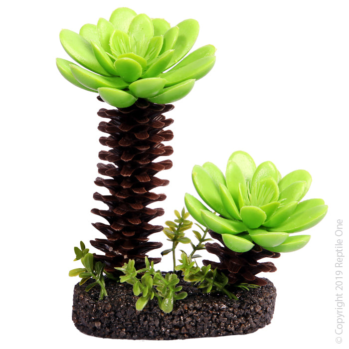 Reptile One Plant Succulent Tree With Sand Base Medium 11x5.5x13.5cm