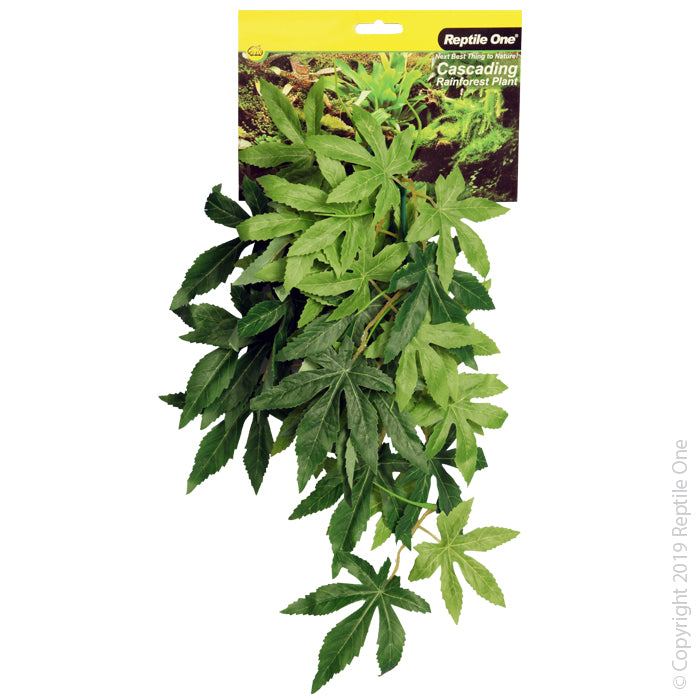 Reptile One Plant Hanging Sativia 40cm Green