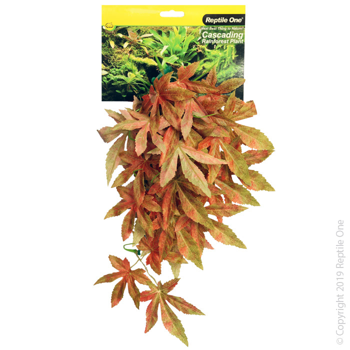 Reptile One Plant Hanging Sativia 40cm Red