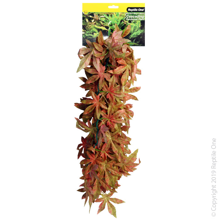 Reptile One Plant Hanging Sativia Red 70cm