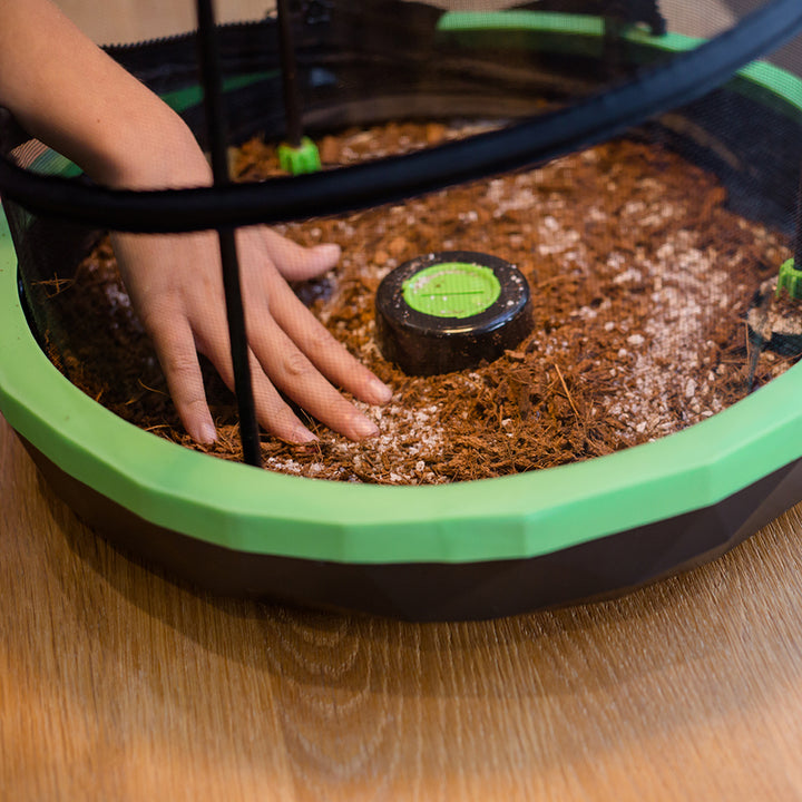 Insectimo Insect Bed Base