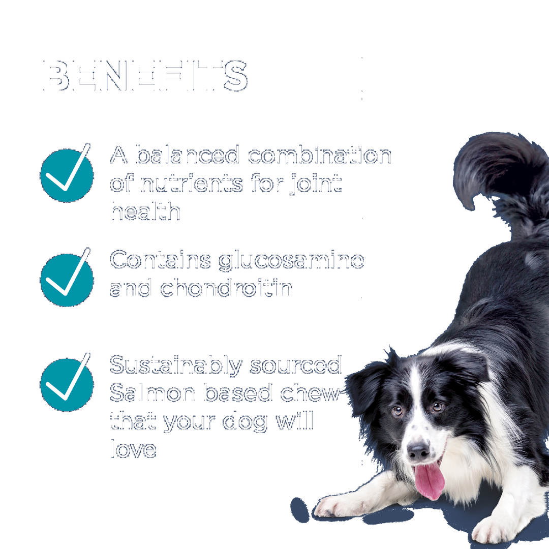 Paw Osteocare Dog Joint Health Chews 300g