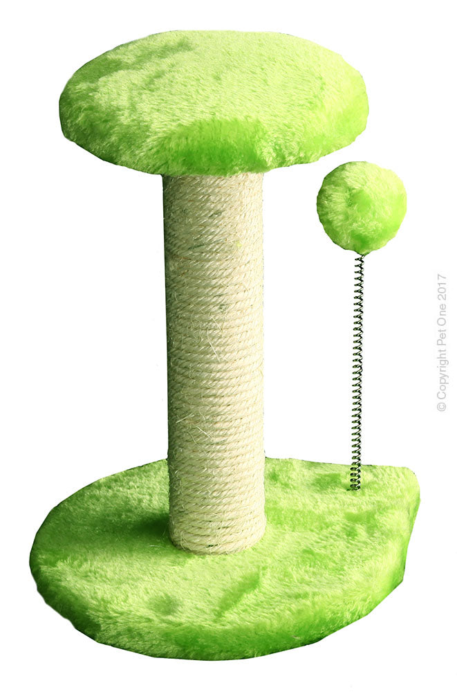 Pet One Mini Scratcher Post/platform/spring Ball Green