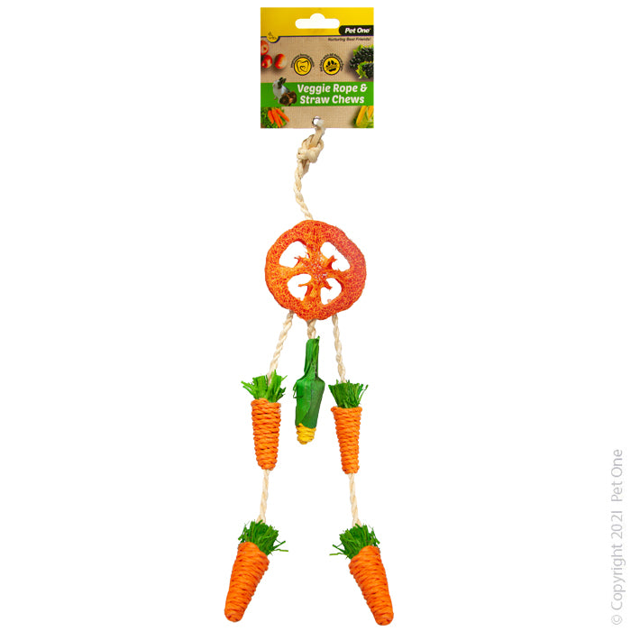 Pet One Veggie Rope & Straw Chew Hanging Dreamcatcher 26cm