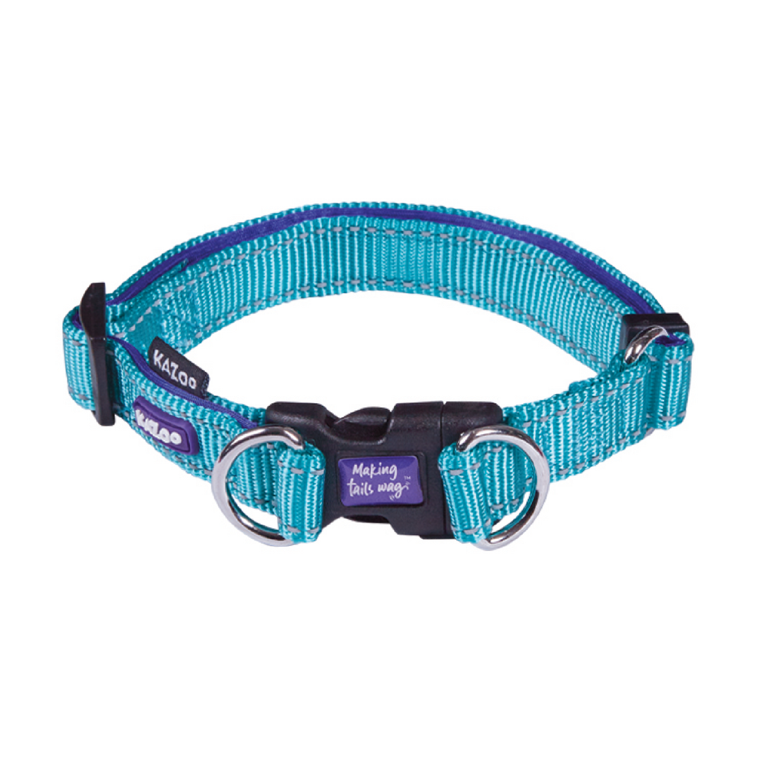 Kazoo Collar Nylon Extra Large Adjustable Active Aqua/purple 47-73 Neck