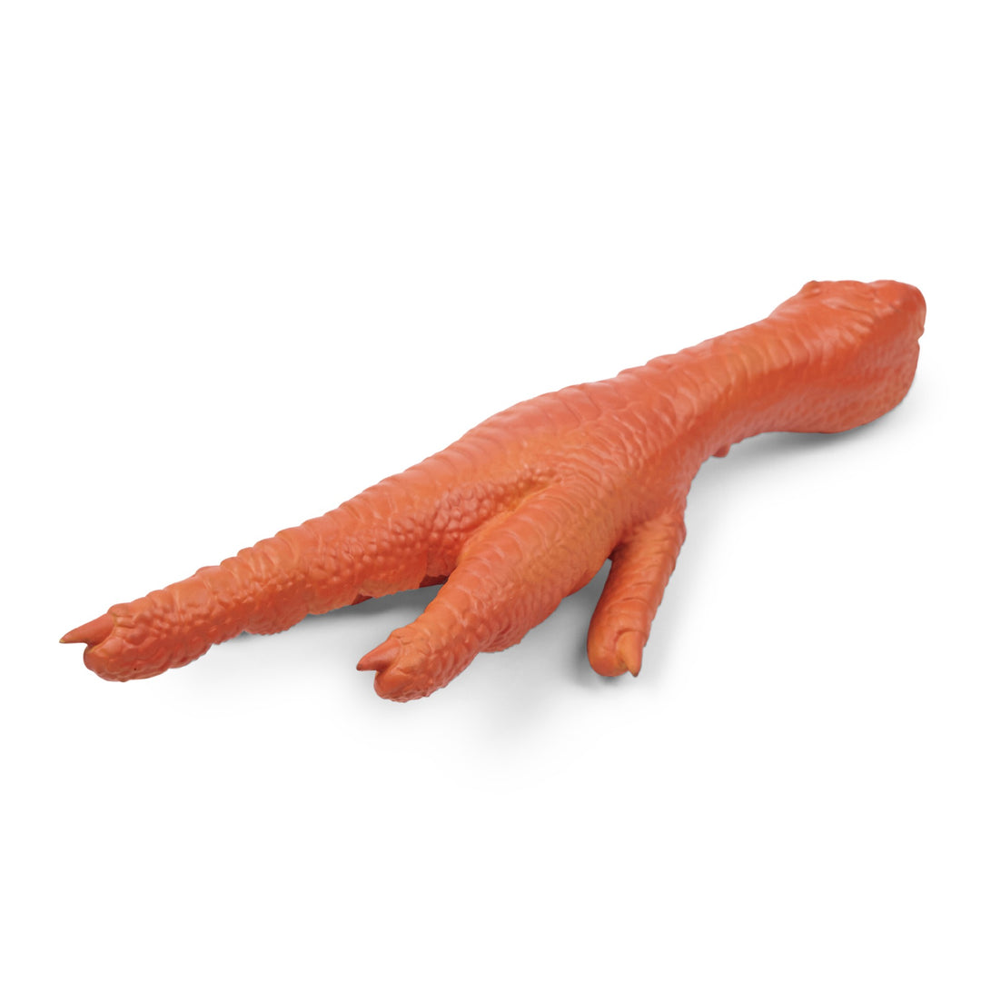 Kazoo Latex Chook Foot - Medium