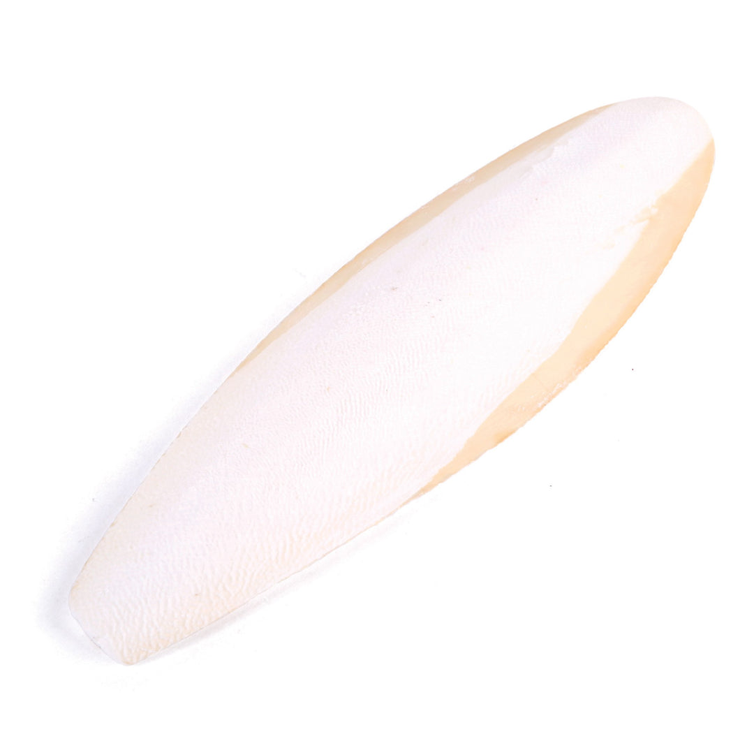 Kazoo Cuttlebone Natural Large