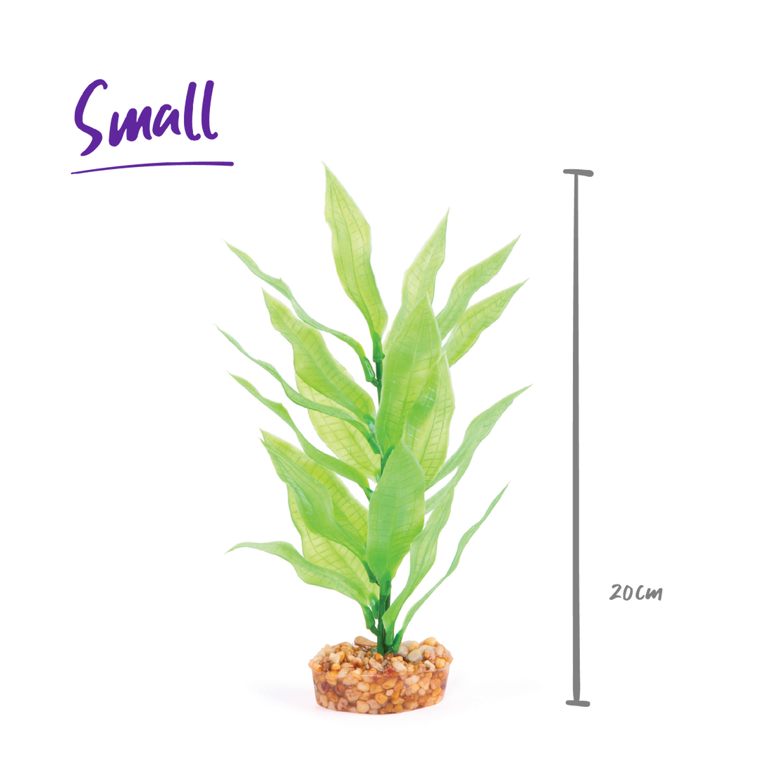 Kazoo Aquarium Plants Long Leaf Green - S 20cm