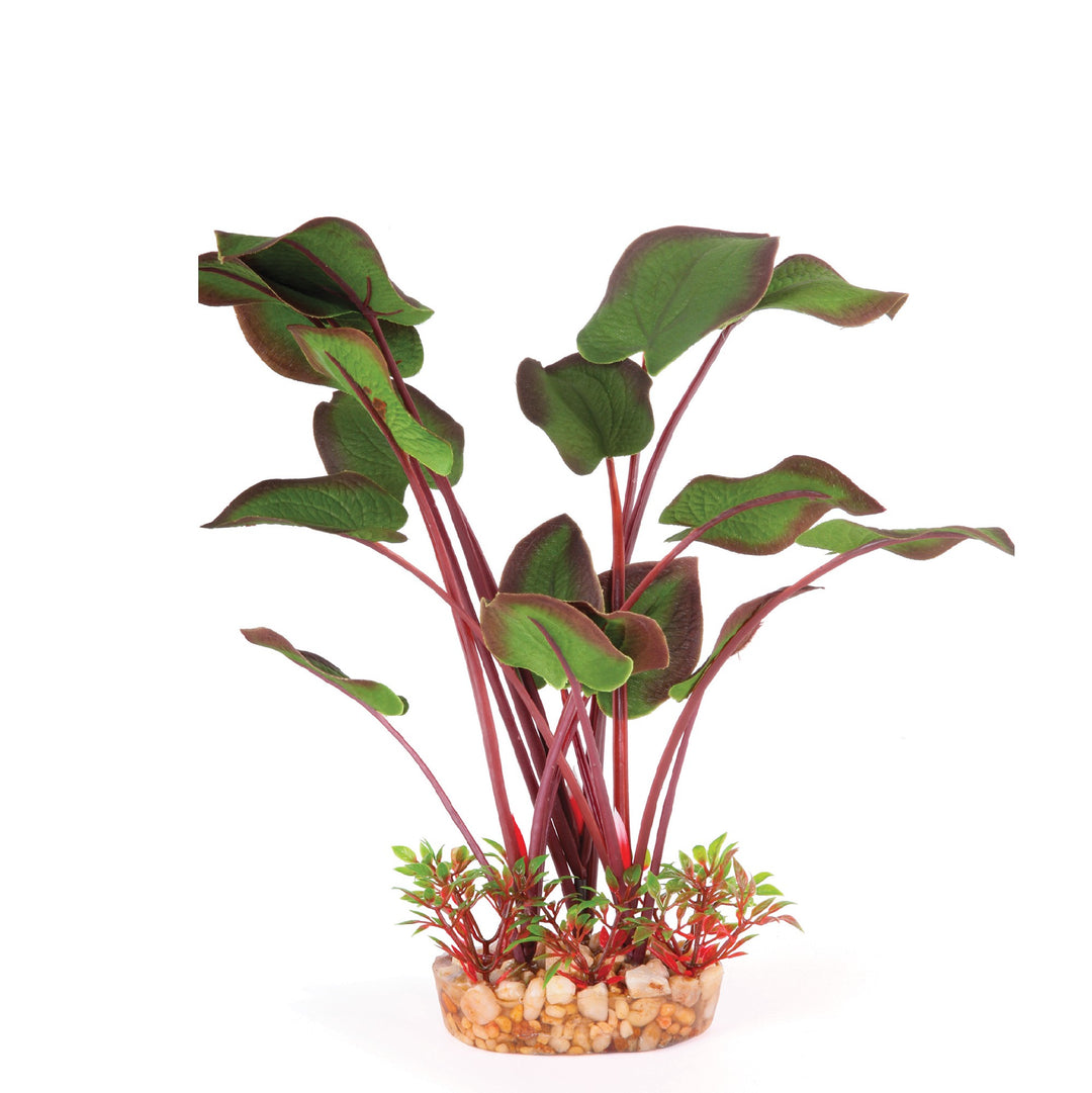 Kazoo Aquarium Plants Silk Large Leaf D/green - L 30cm