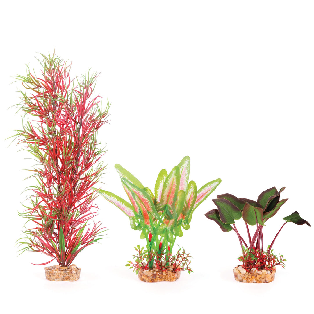 Kazoo Aquarium Plants Silk Multipack #1