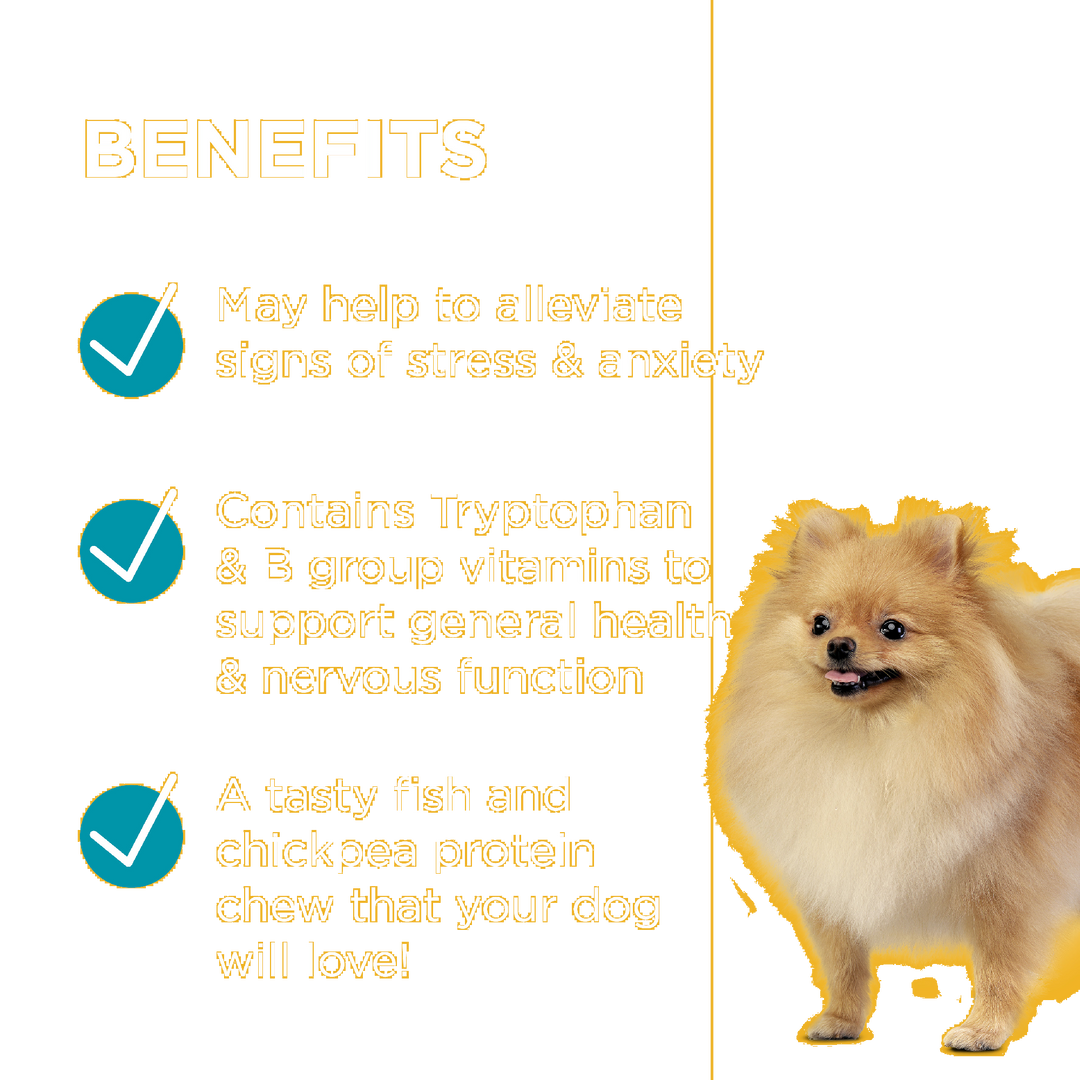 Paw Complete Calm Small Dog Chews 75g