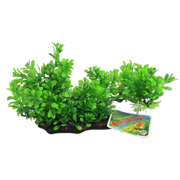 Amazon Jungle Plants Large Hygro Branch Log 30cm