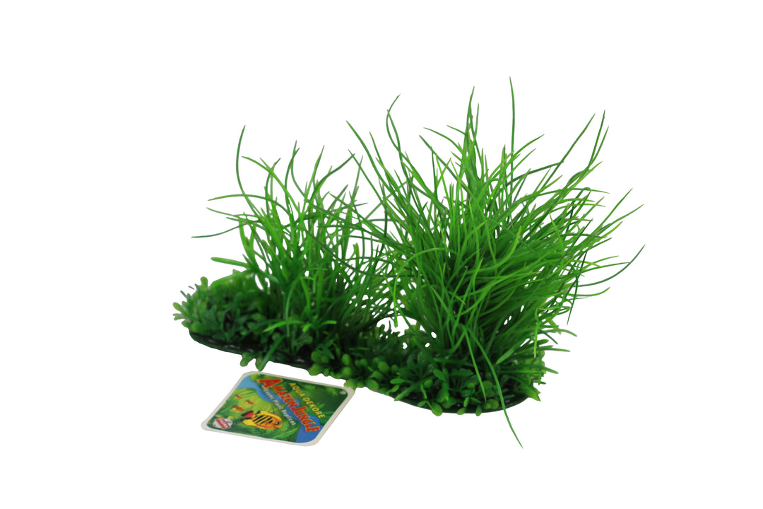 Amazon Jungle Plants Phoenix Grass/miin Hygro Pad 22cm