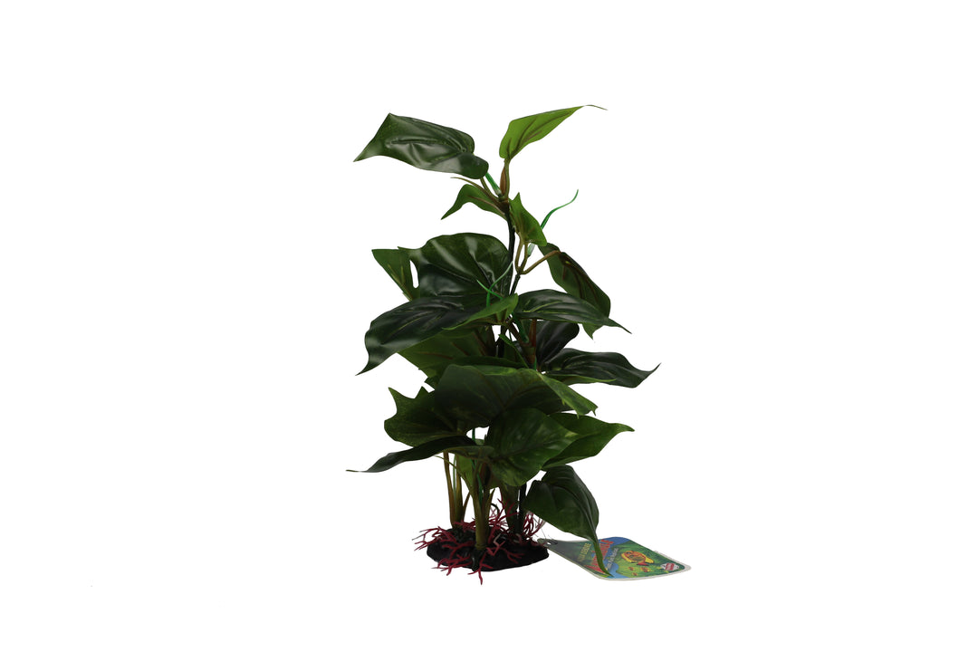 Amazon Jungle Plants Anubias On Rock Large 30cm