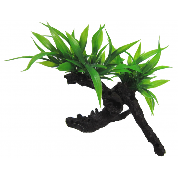 Amazon Jungle Plants Twin Indo Fern On Log 17cm
