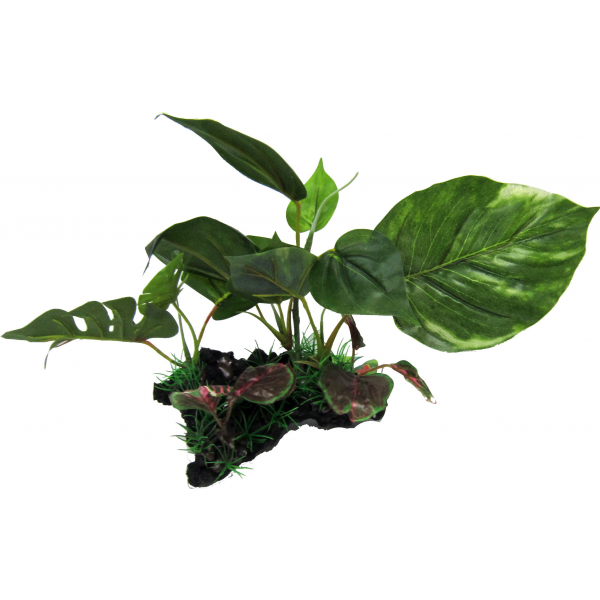 Amazon Jungle Plants Giant Monsterio On Log 15cm