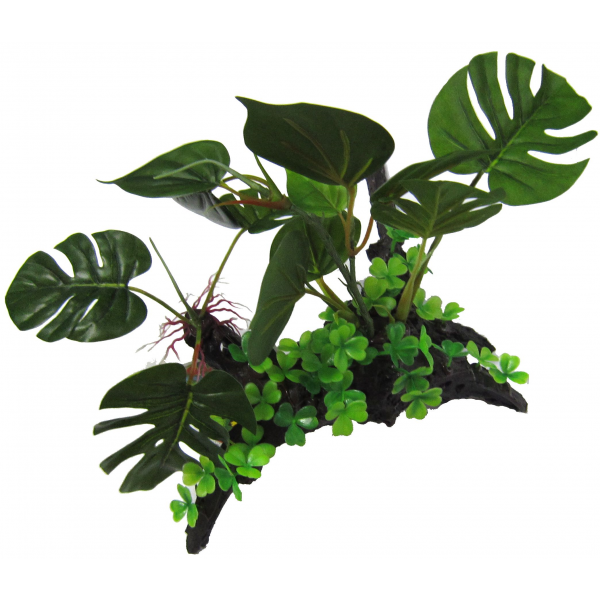 Amazon Jungle Plants Giant Monsterio On Log 25cm
