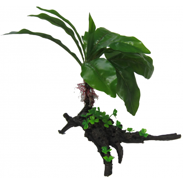 Amazon Jungle Plants Giant Cardamine Tree 35cm