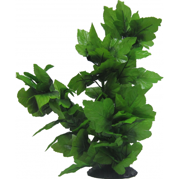 Amazon Jungle Plants Tall Spatophylum Tree 40cm