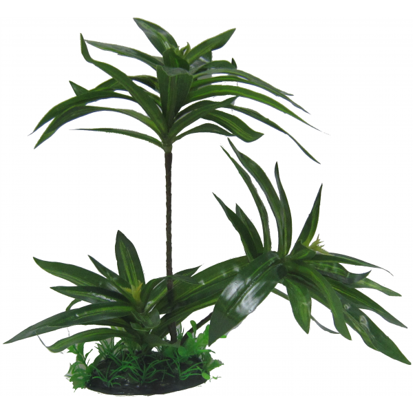 Amazon Jungle Plants Brazilian Palm Plant 32cm