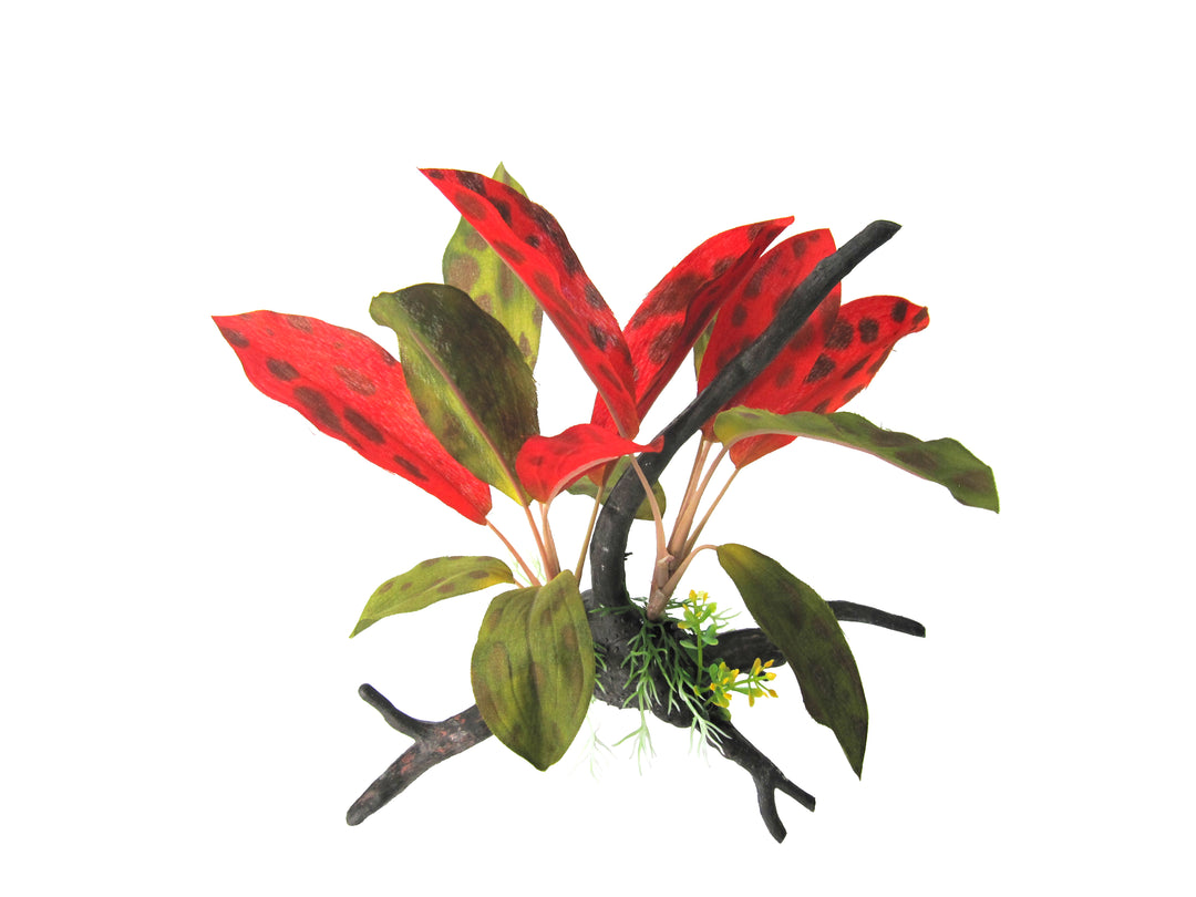 Amazon Jungle Plants Crimson Leaf Burst On Branch 30cm
