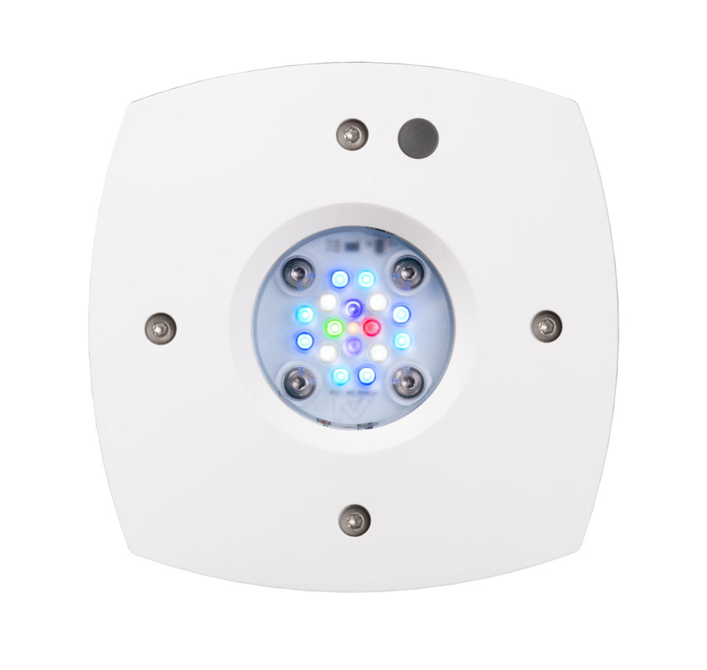 Ai Prime 16HD Reef Light White