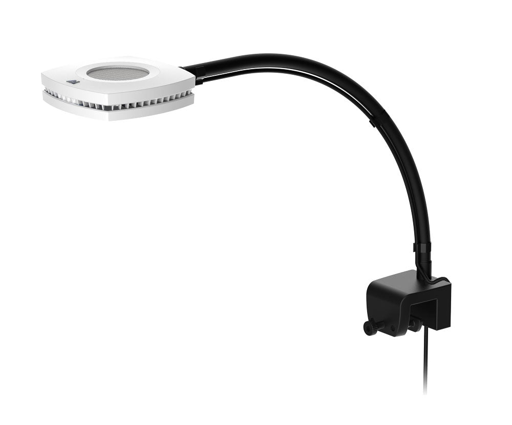 Ai Prime Flex Arm 12"