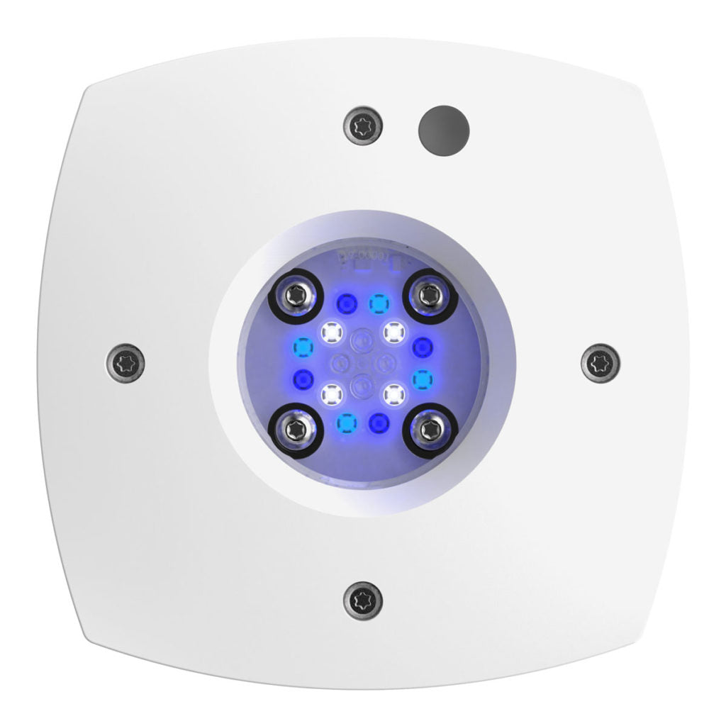 Ai Prime 16HD Sol Blue Light White
