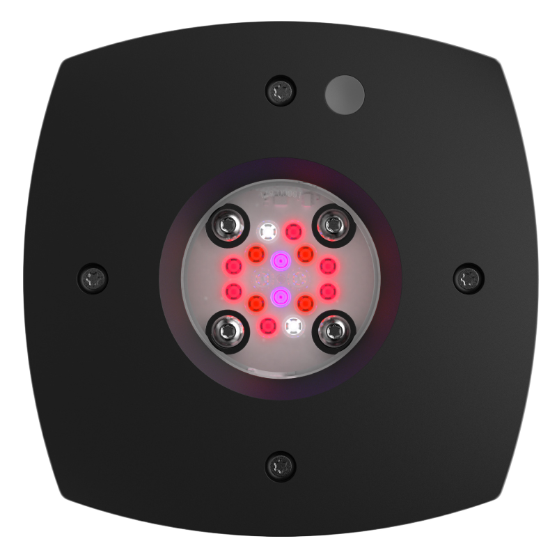 Ai Prime 16HD Fuge Refugium Light Black