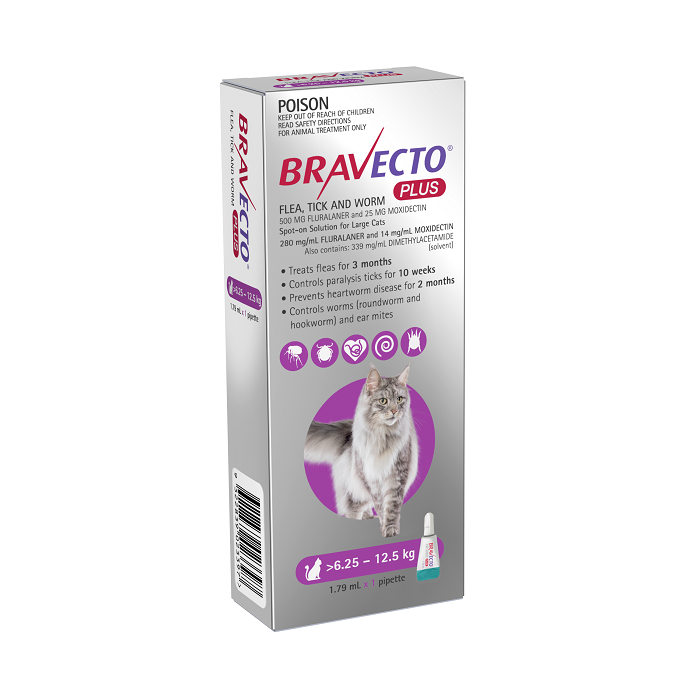 Bravecto Plus Spot On Purple Large Cats 6.25-12.5kg 1pk