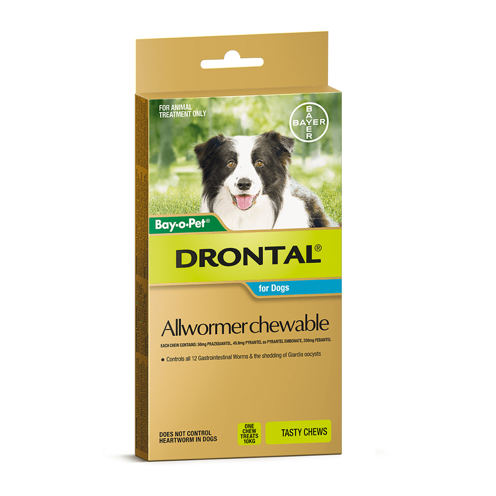 Drontal Chewable Med Dog 10kg 2pk