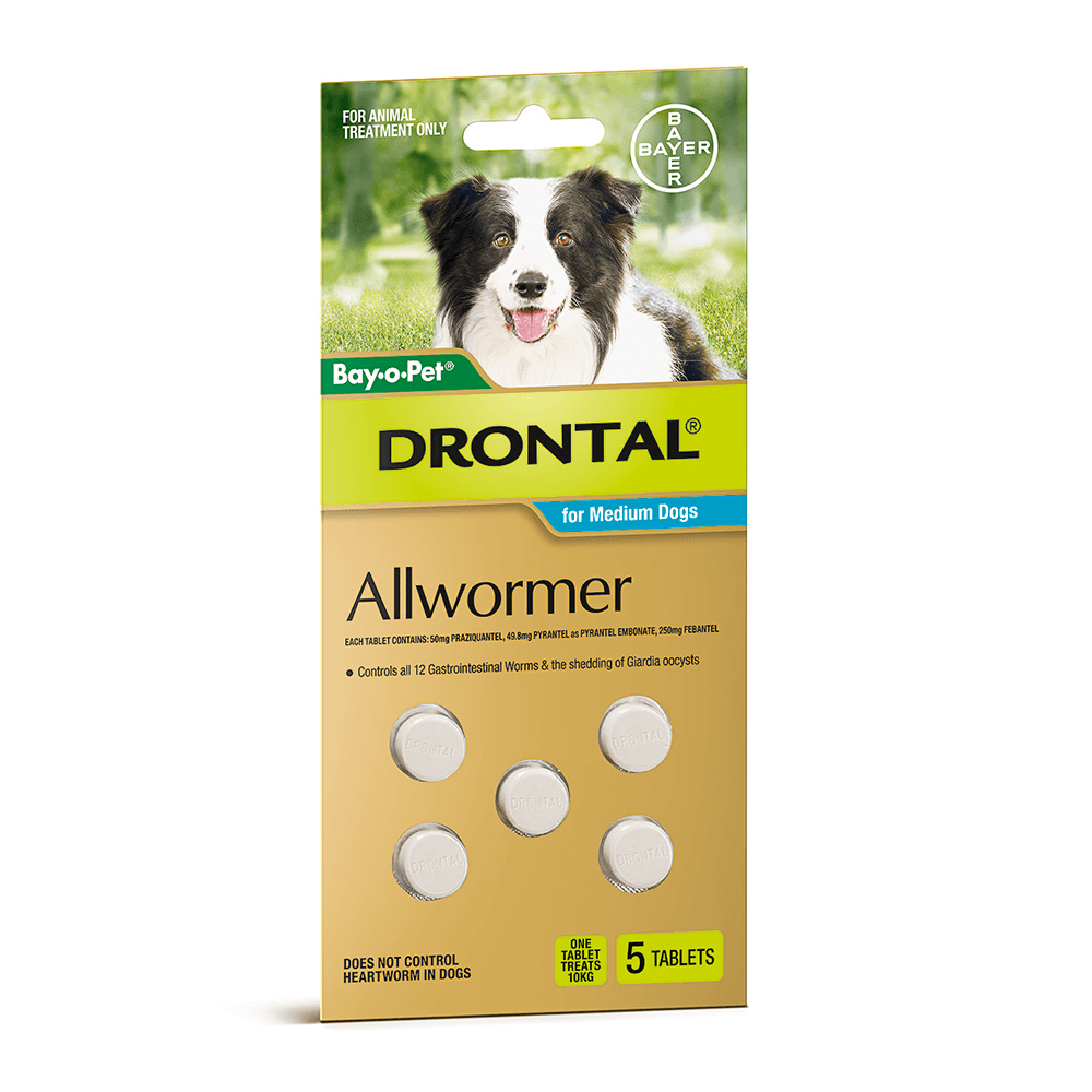 Drontal Chewable Med Dog 10kg 5pk