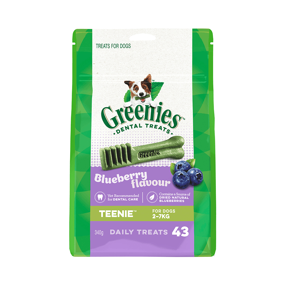 Greenies Bursting Blueberry Teenie 340g 43pk