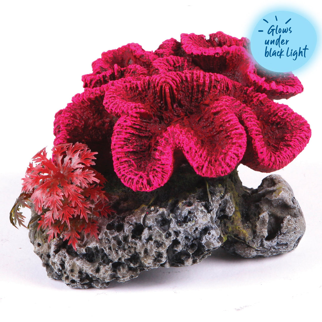 Kazoo Ornament Coral W/plants Medium