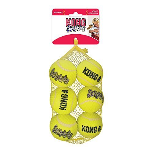 Kong Airdog Squeakair Ball Medium 6pk Ast22