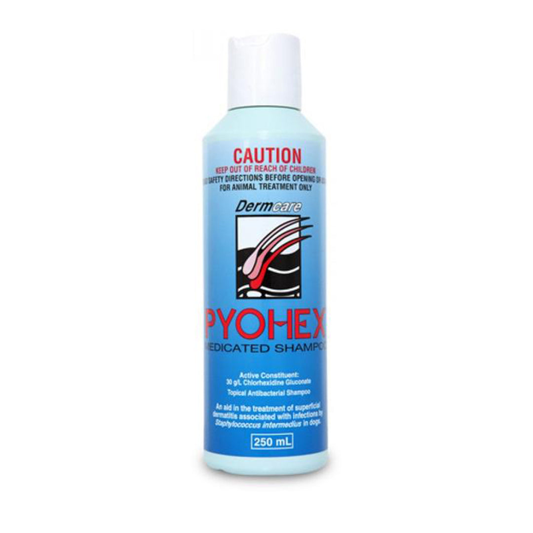 Pyohex Medicated Shampoo 250ml