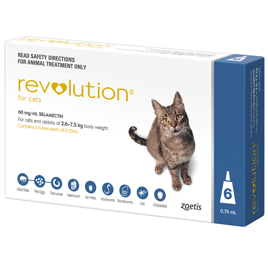 REVOLUTION BLUE CAT 2.6-7.5KG 6PK