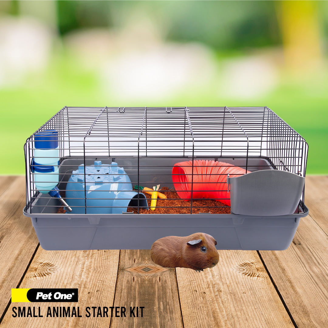 Small Animal Cages