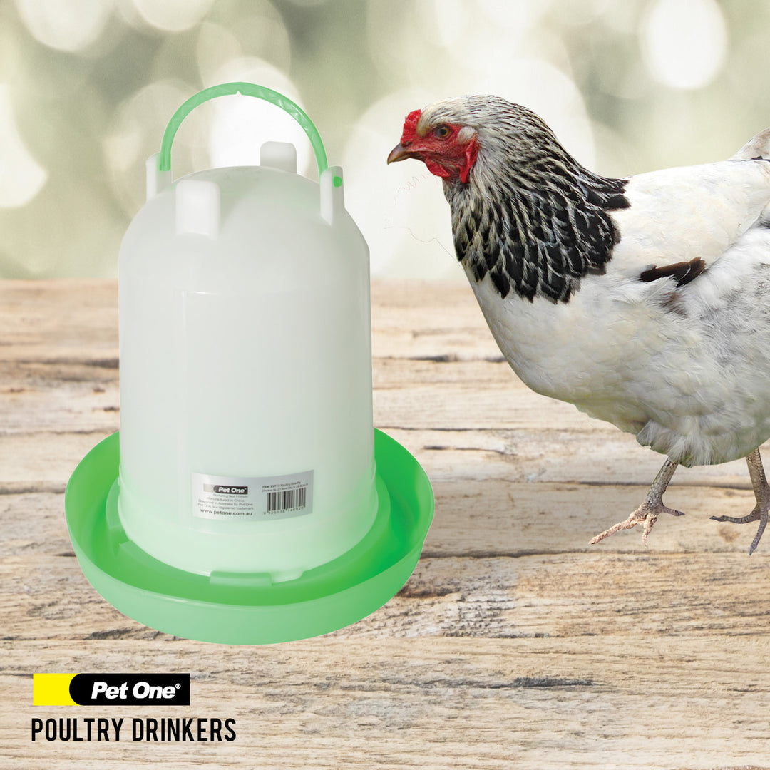 Poultry Feeders & Drinkers