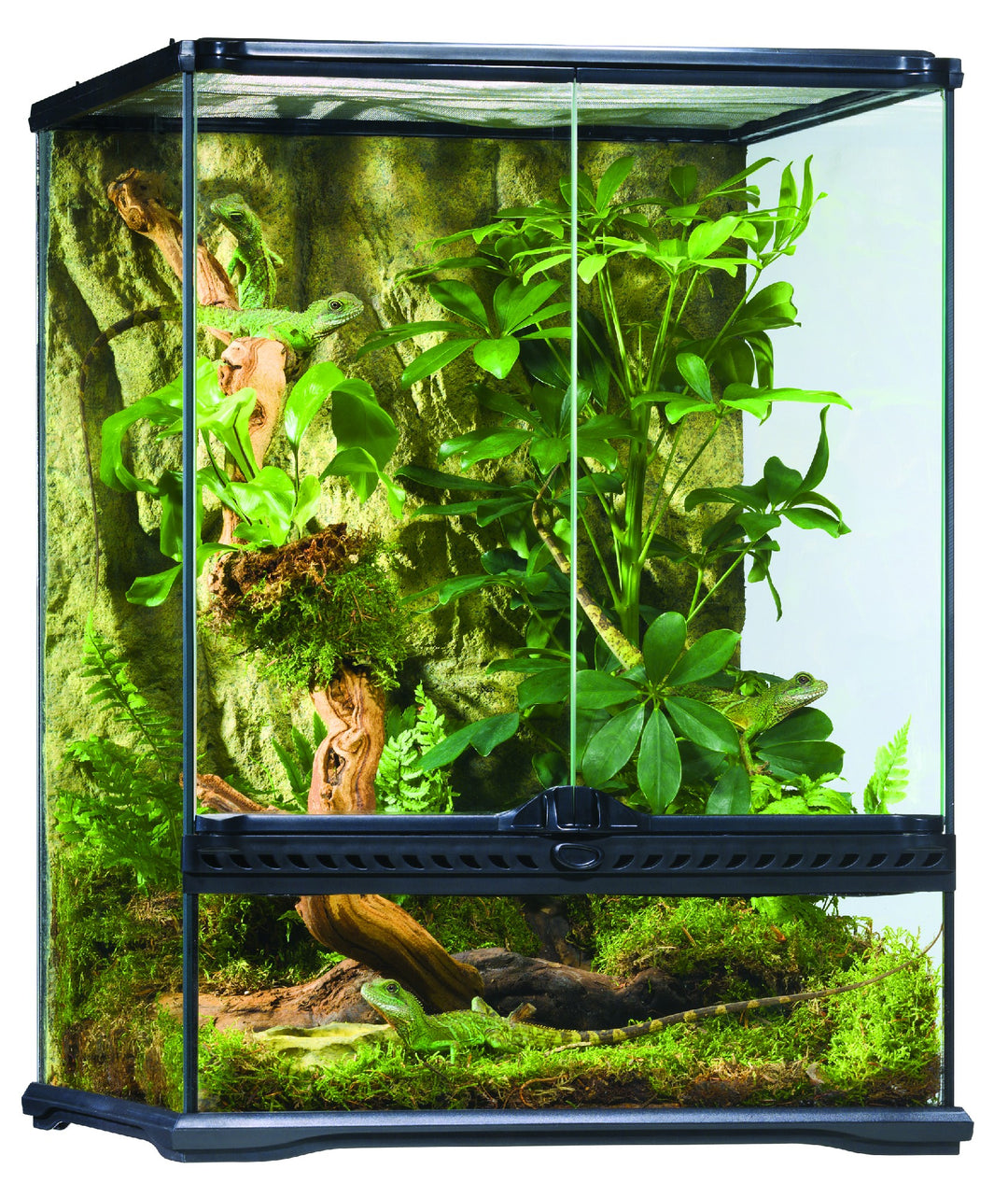 Exo Terra Terrarium Small Tall 45x45x60cm