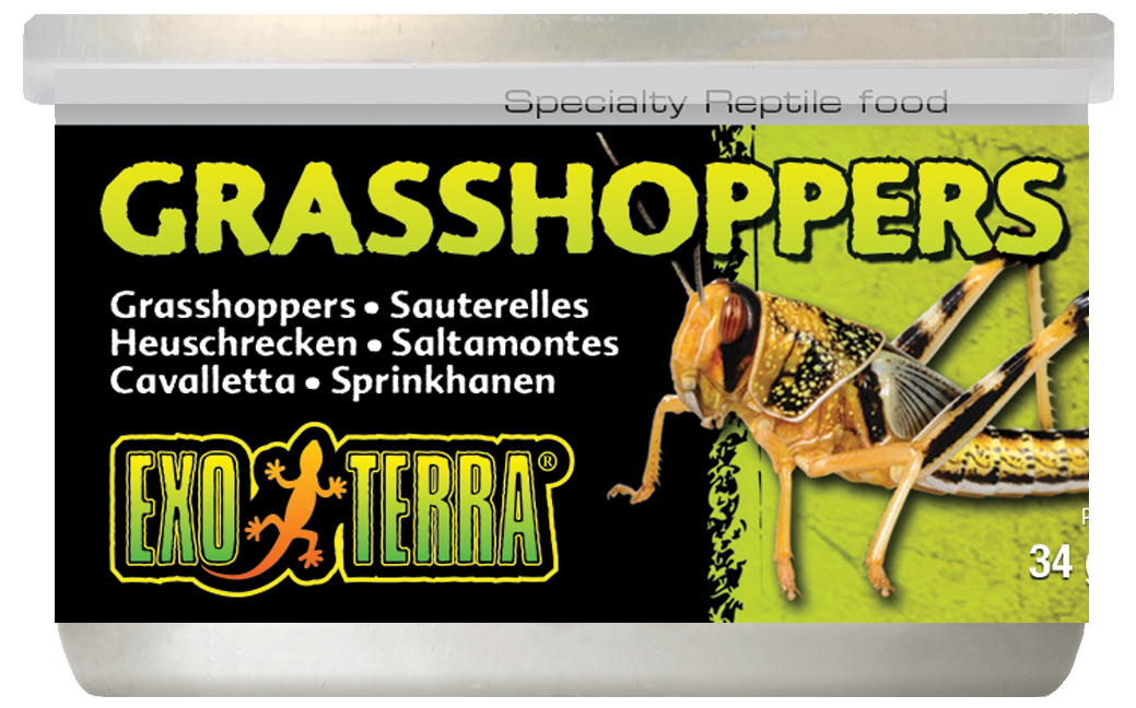 Exo Terra Canned Male Grasshoppers Small 34g