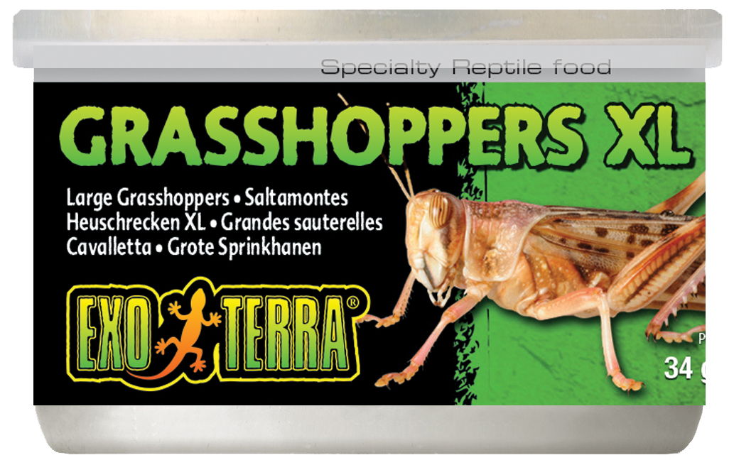 Exo Terra Canned Grasshoppers Xl 34g