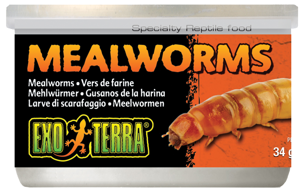 Exo Terra Canned Mealworms 34g