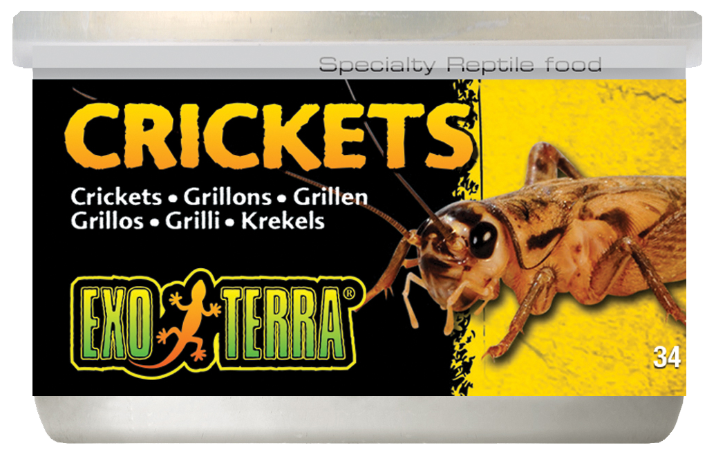 Exo Terra Canned Crickets 34g