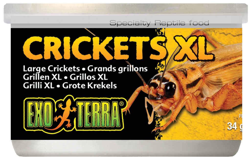 Exo Terra Canned Crickets Xl 34g