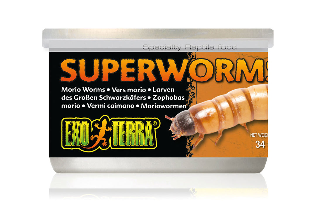 Exo Terra Canned Superworms 34g