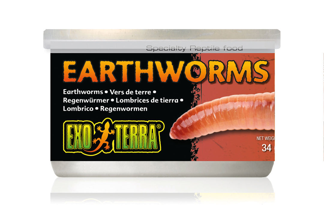 Exo Terra Canned Earthworms 34g